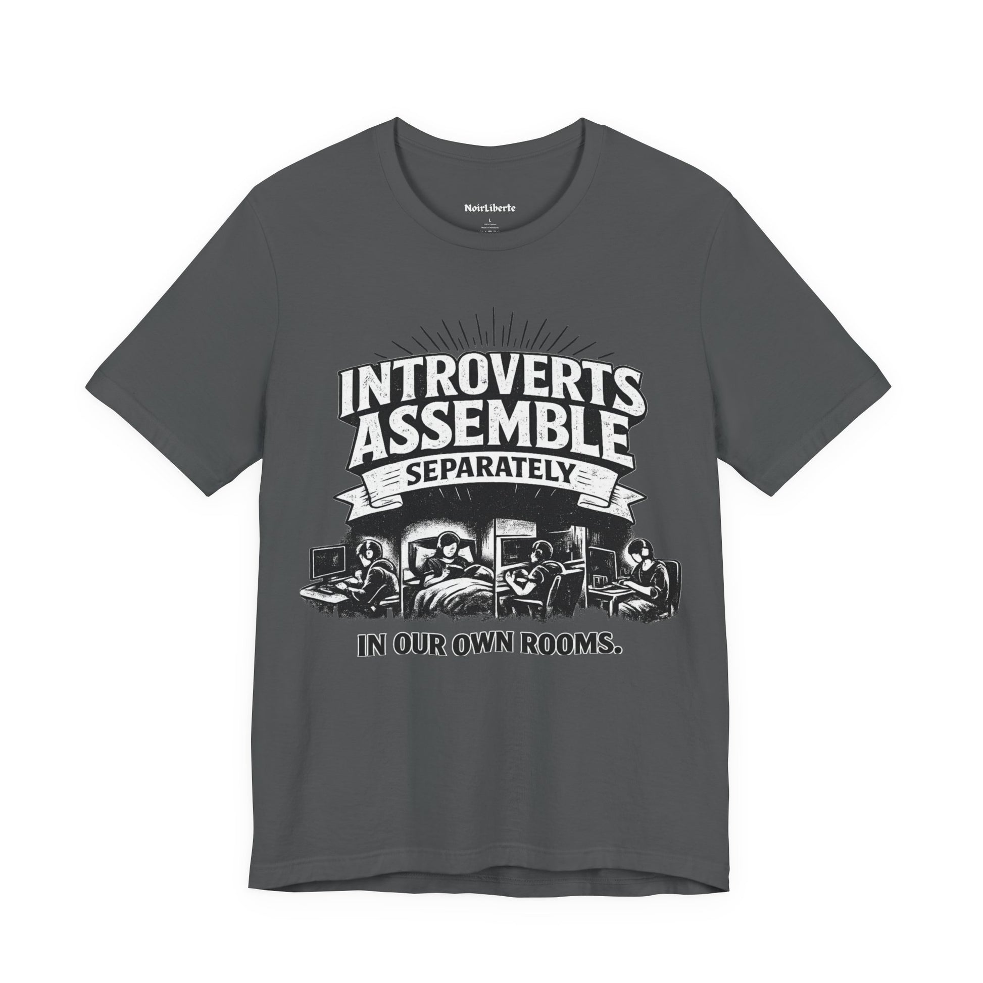 funny shirt with a graphci phrase about introverts, Grey