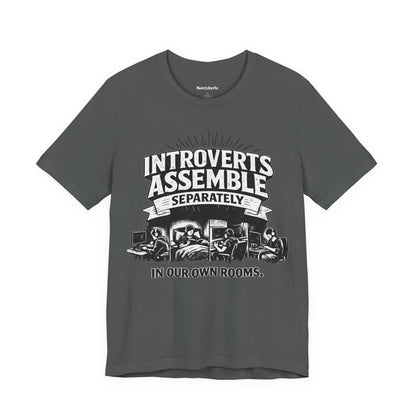 funny shirt with a graphci phrase about introverts, Grey