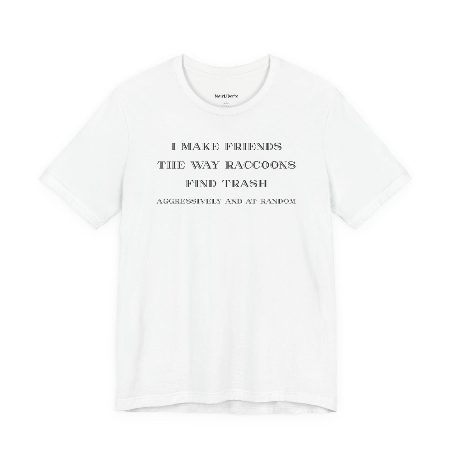 I Make Friends the Way Raccoons Find Trash