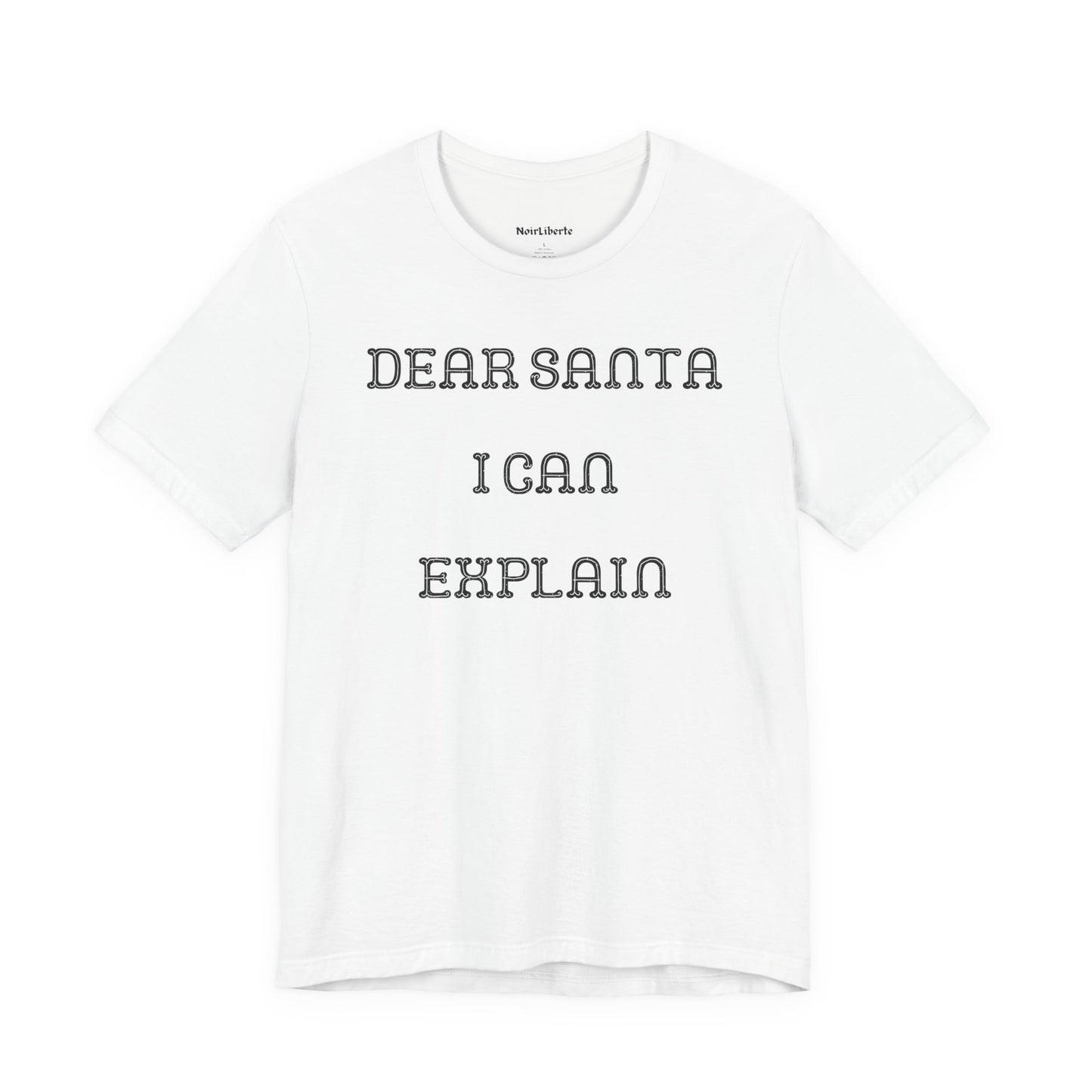 Dear Santa I Can Explain
