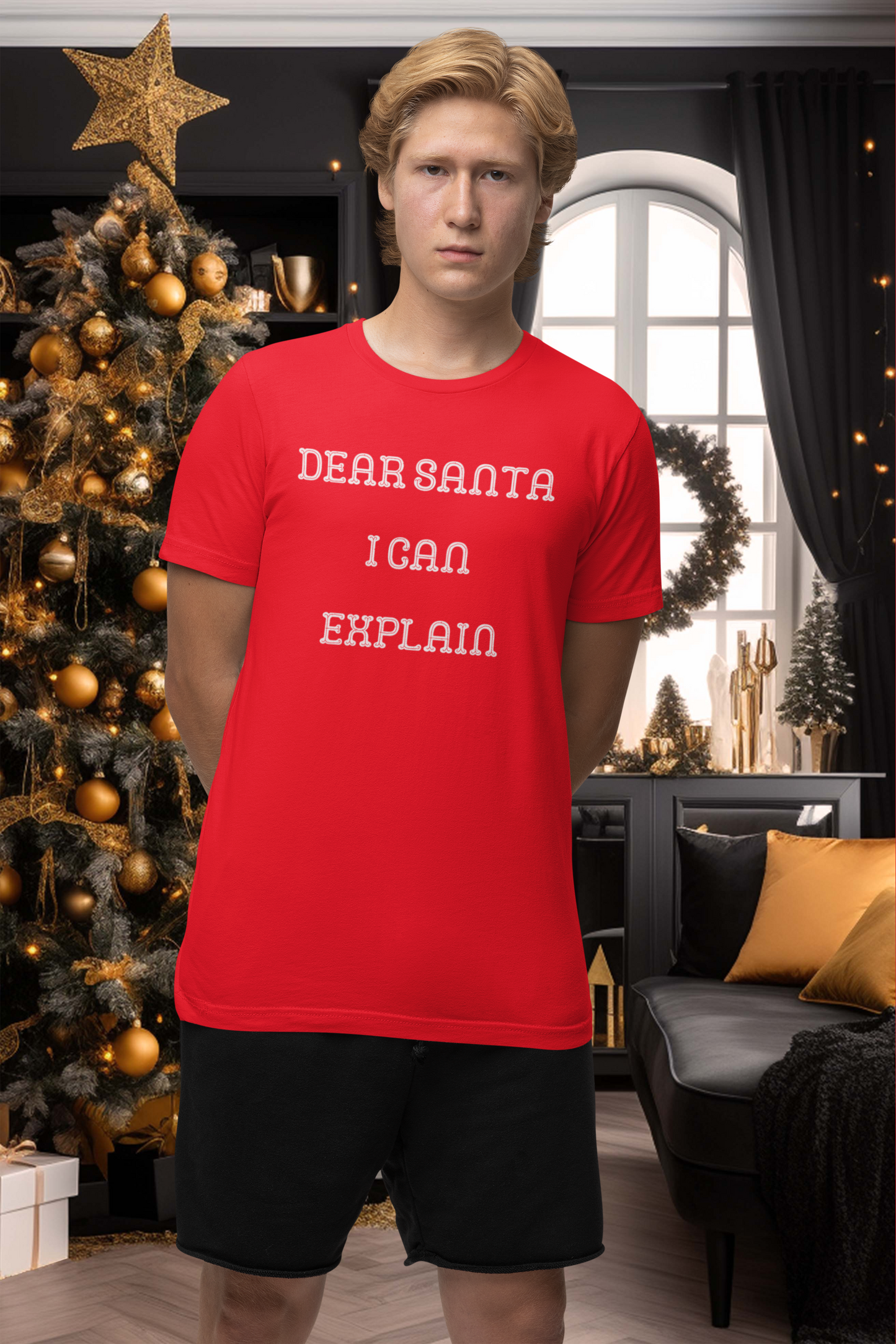 Dear Santa I Can Explain